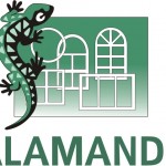 Компания Salamander